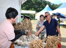 [Ǽ]ǼǪ帶,  10   Ȳ 