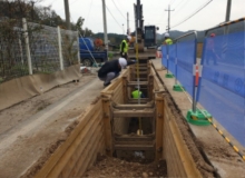 [�Ǽ�]2026 �ϼ��� ��� 195�� Ȯ��