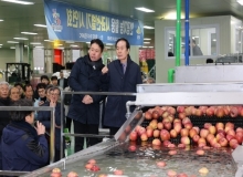 [�Ǽ�]�ΰ����� ��������� �ÿ�