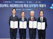 [�Ǽ�]��������� ���� �������� ü��